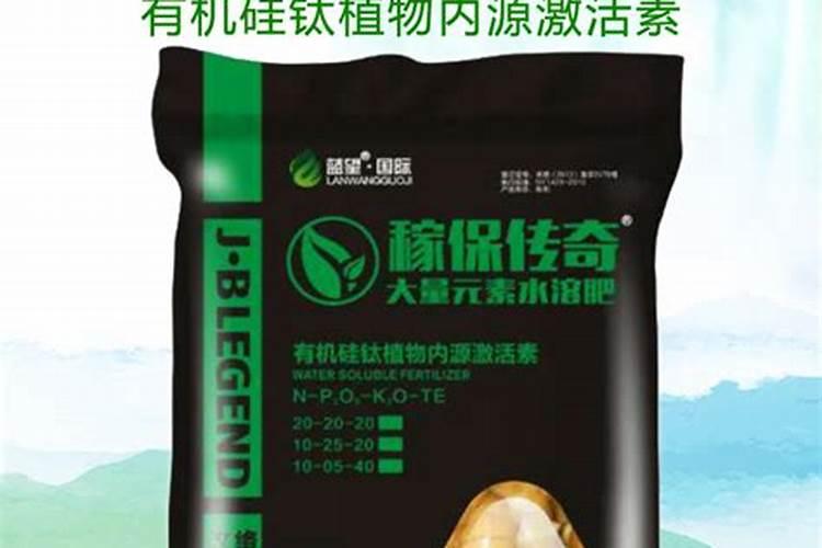 茉莉花大量元素水溶肥用什么好