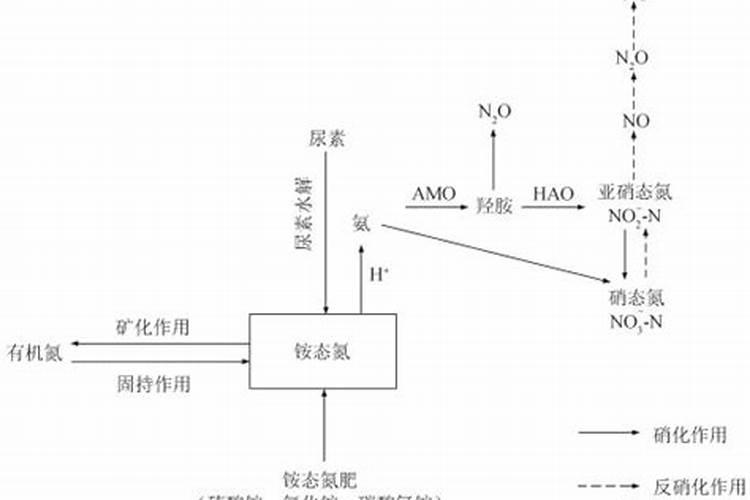 高磷肥料有哪些 什么是高磷肥