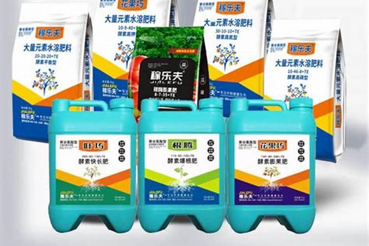 哪种复合肥种玉竹好