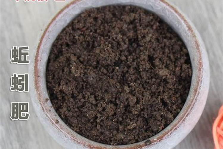 黄瓜栽苗之时要用什么鲜为人知的肥料