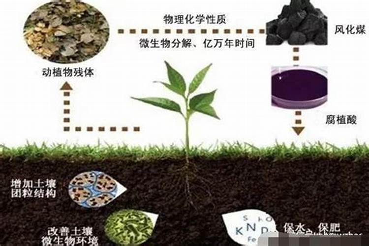 腐殖酸型复合肥为什么不是黑的而是发白是怎么回事