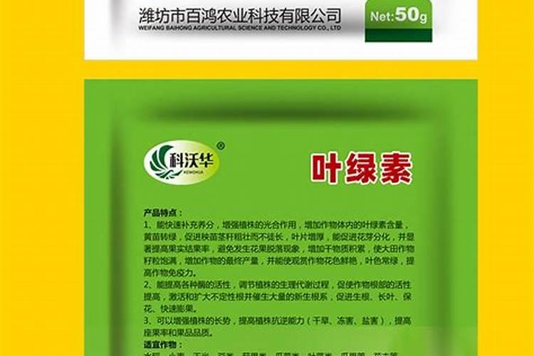 水稻返青肥什么时候用 肥料选择什么好