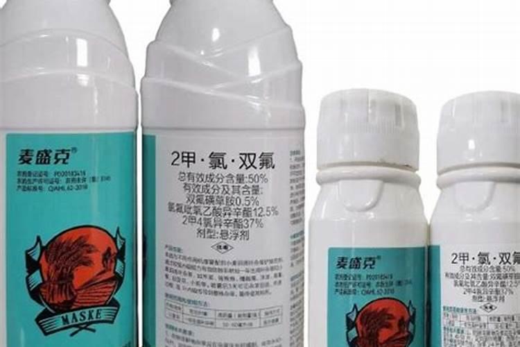 白茶主要茶树品种有哪些？