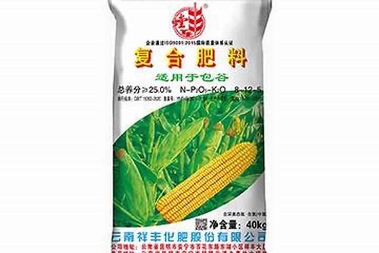 玉米种植方法步骤