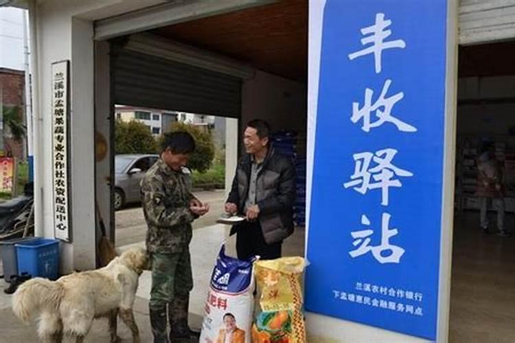 哪个厂家的水溶肥好