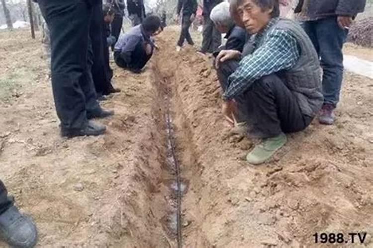 钙肥的作用及施用方法,钙肥有哪些