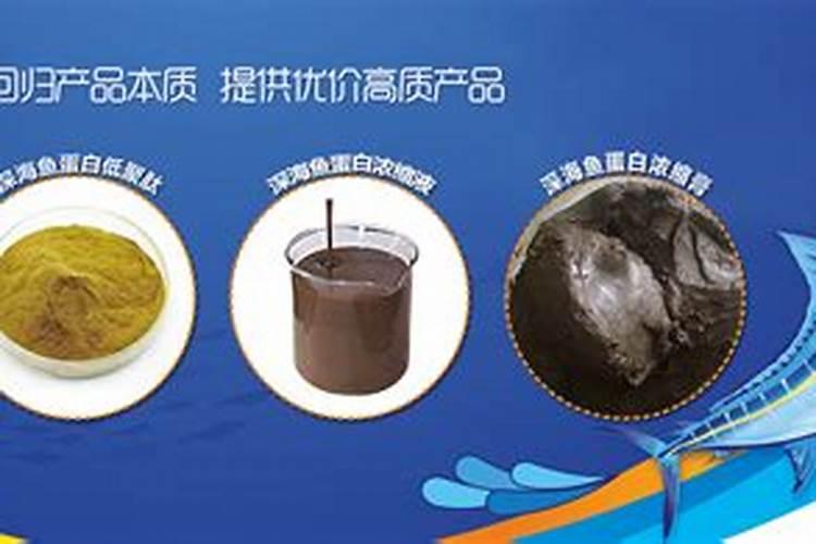 鱼类浓缩蛋白制作方法