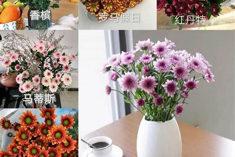 俎艳芳盆栽蔬菜,田园综合体