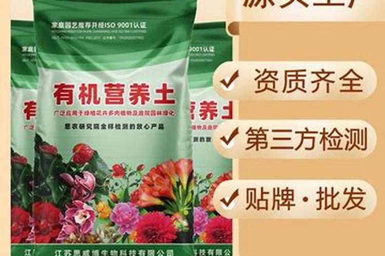 不缺钾补钾会有什么症状