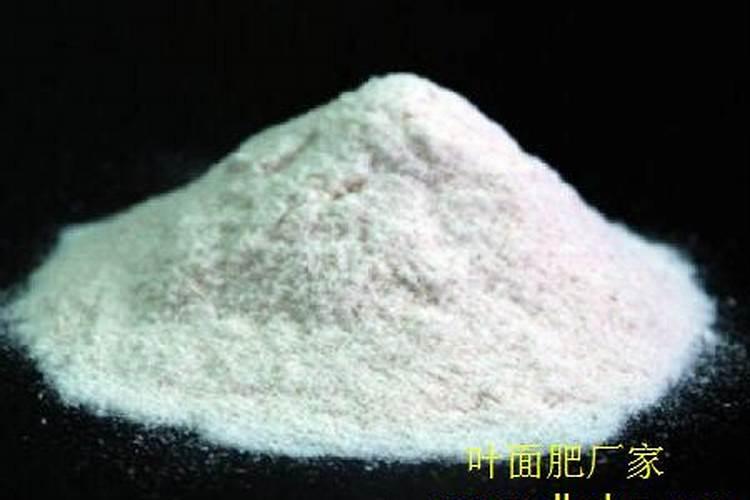 叶面肥哪个好