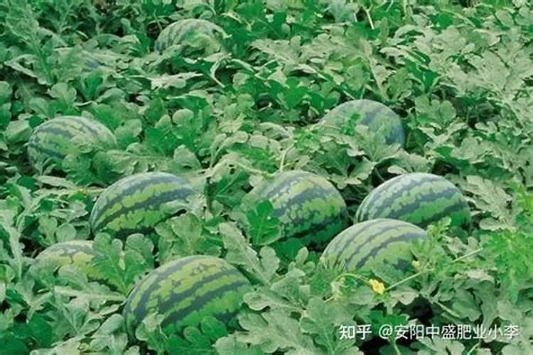 为什么氯化钾不叫盐酸钾？