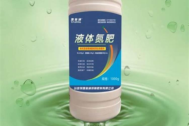 八月瓜最好的种植方法