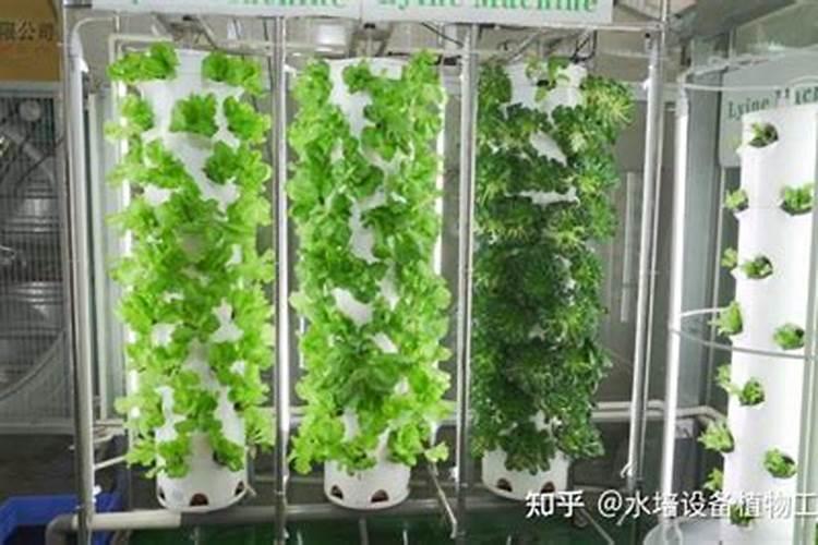 促进开花施什么肥料(果树促花用什么叶面肥好)