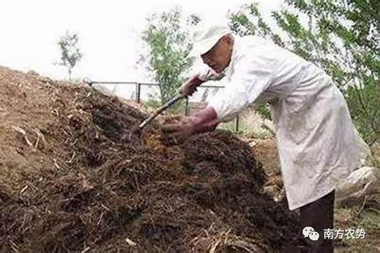 兰花缺肥是什么表现？