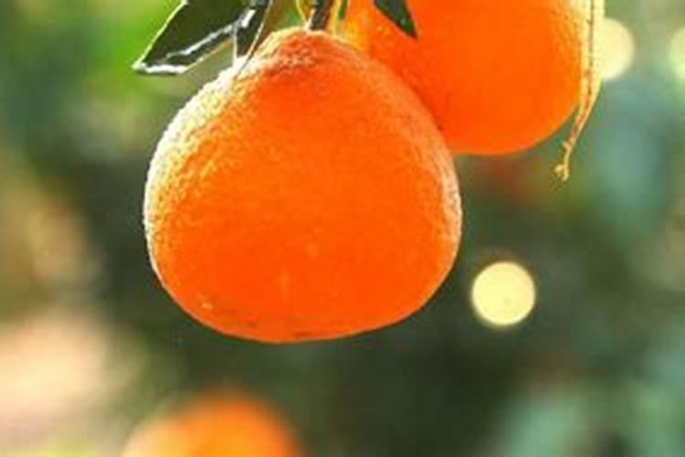 硼肥正确使用方法