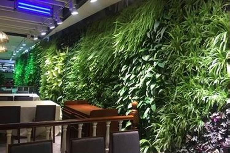 叶面肥有哪些品牌