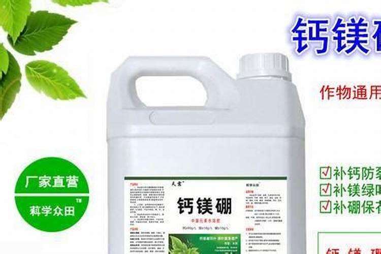 葡萄肥料需求特点(葡萄最需要哪几种元素