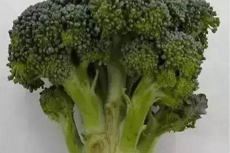 西兰花施什么肥最好