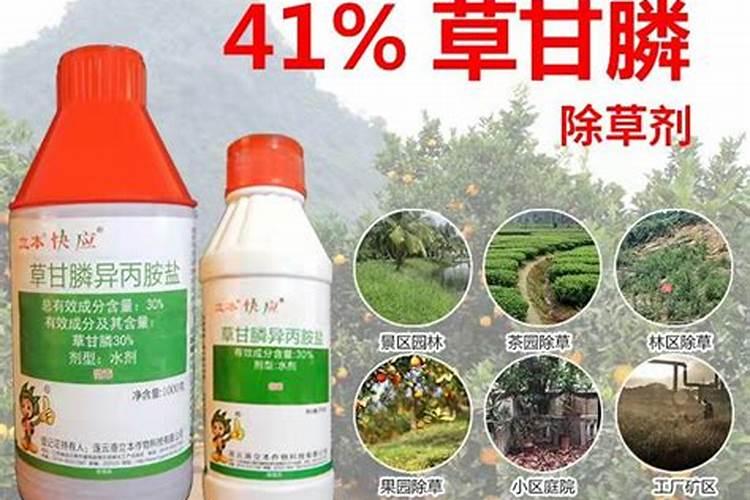 怎样种植糯玉米