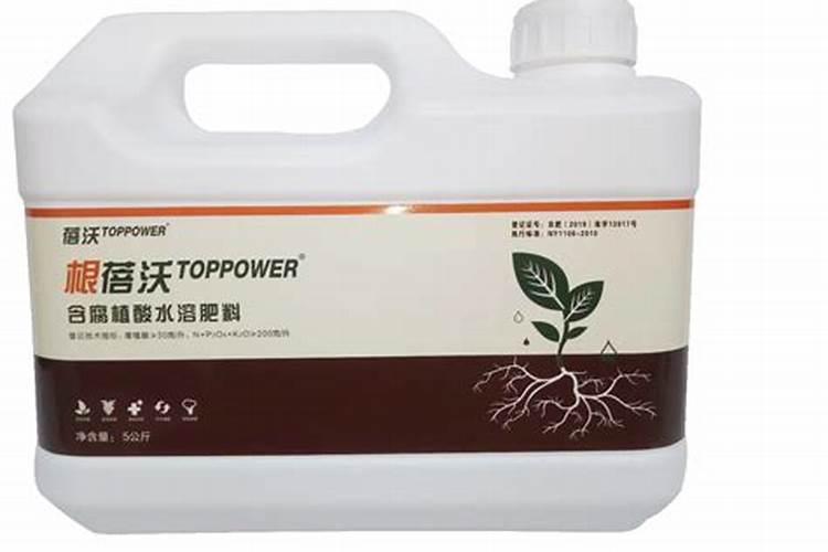 莴笋怎么施肥莴笋施肥规律