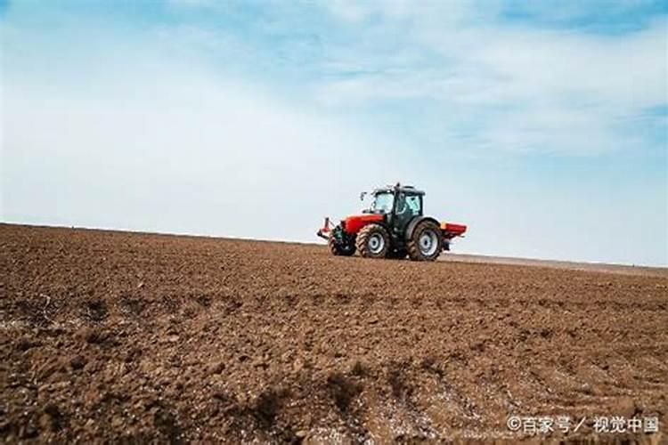 玉米6到9喷叶面肥有什么作用