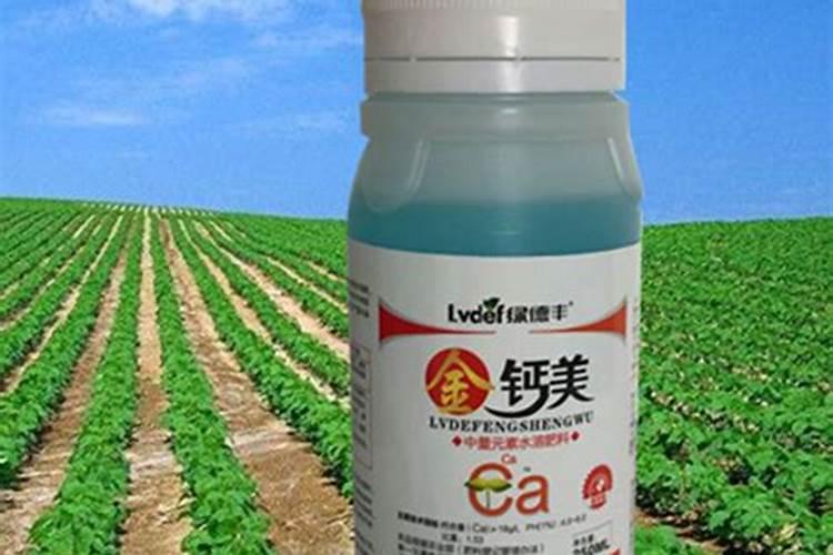 草鱼育苗后期可以从几方面下手预防温差较大时鱼儿的应激反应？