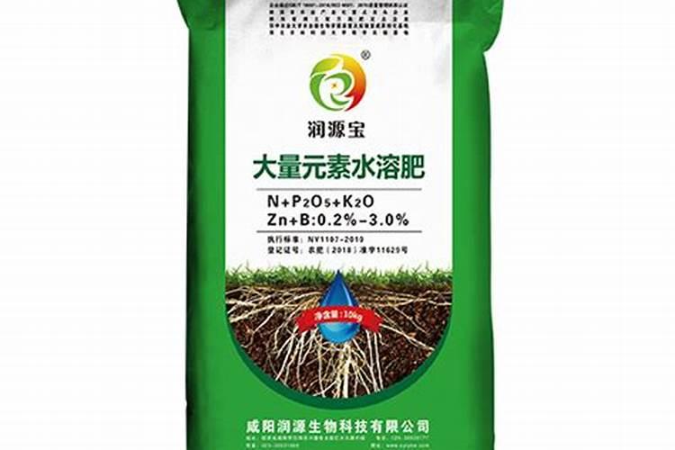 草莓需要施什么肥料