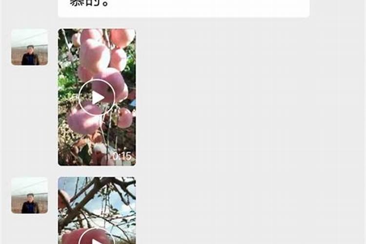 苹果树小叶病怎么弄好啊