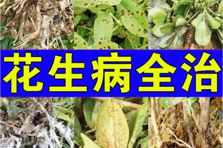 果树叶子发黄了,用什么肥料改善？