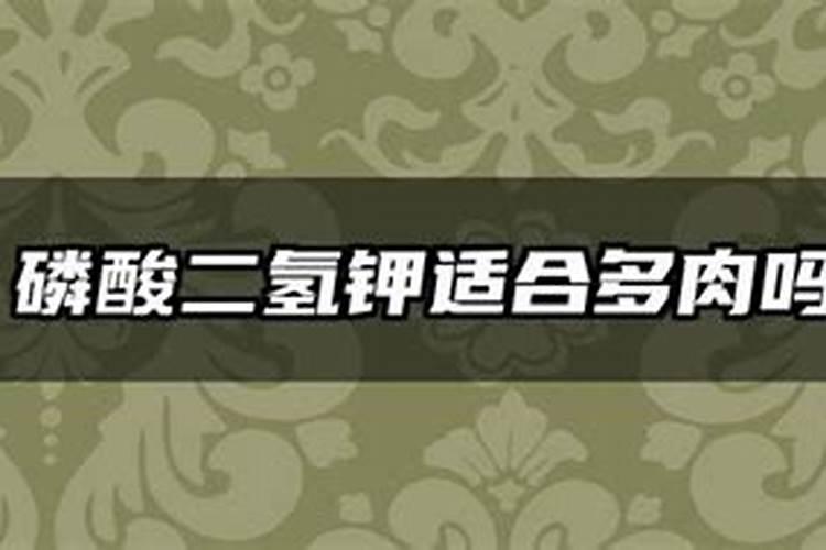磷酸二氢钾可以浇多肉吗