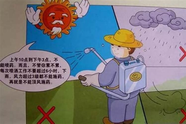 大蒜什么时候追肥最合适