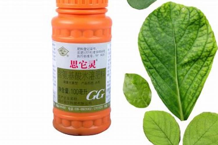 高粱种植应如何进行科学施肥？