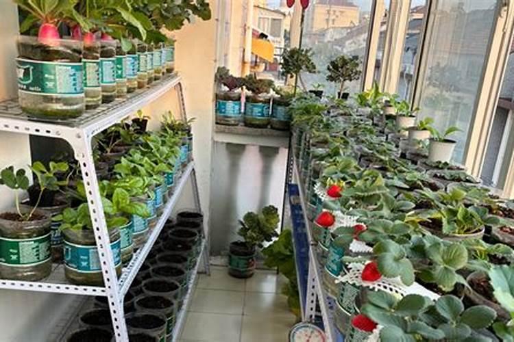 农家肥的正确使用方法