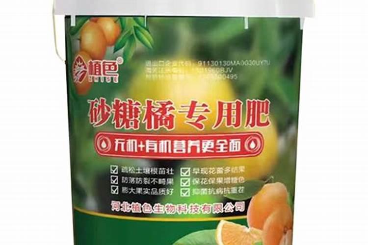 沙糖桔高产种植管理技巧 沙糖桔怎么施肥