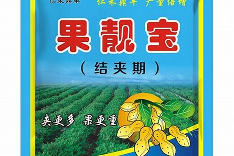 种多肉用什么颗粒好