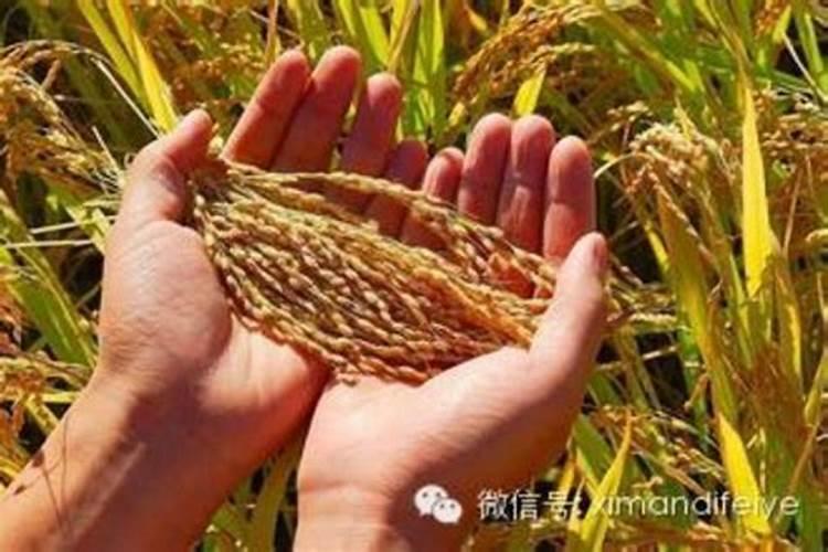 蟹爪兰几天浇一次水