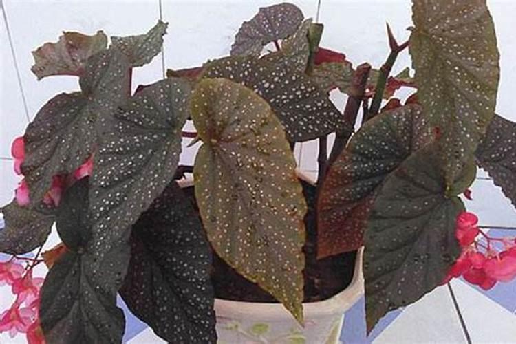 我想了解一下该怎么使用化肥氮磷钾？