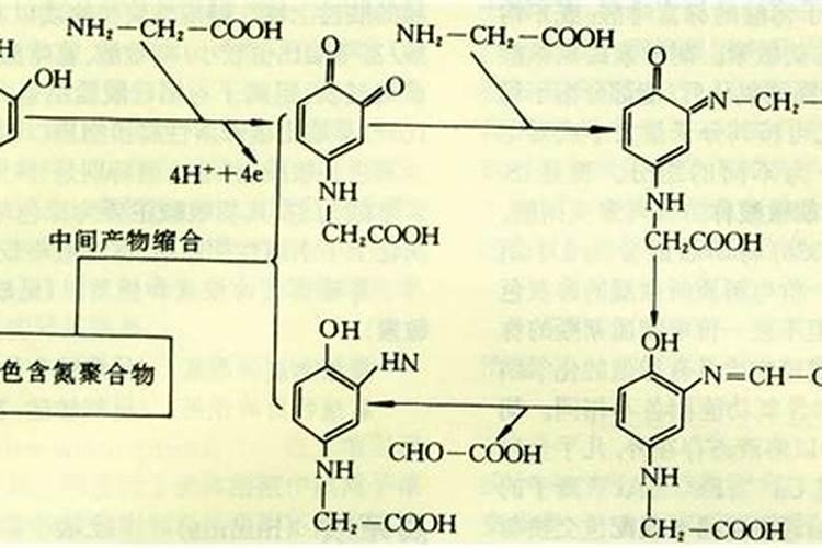 槟榔种植后什么时候浇水 槟榔多久浇水一次