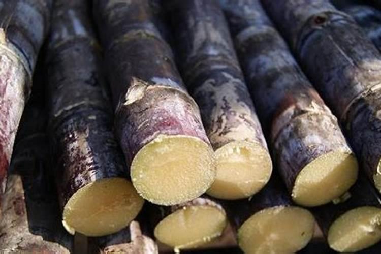 硅肥硅肥的十大作用