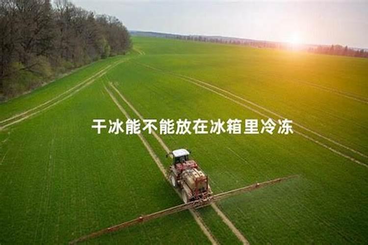 板栗树栽培管理