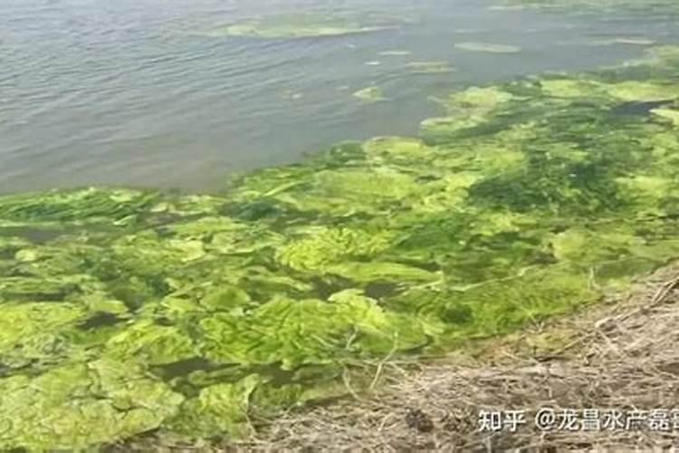 硼硅是什么意思？