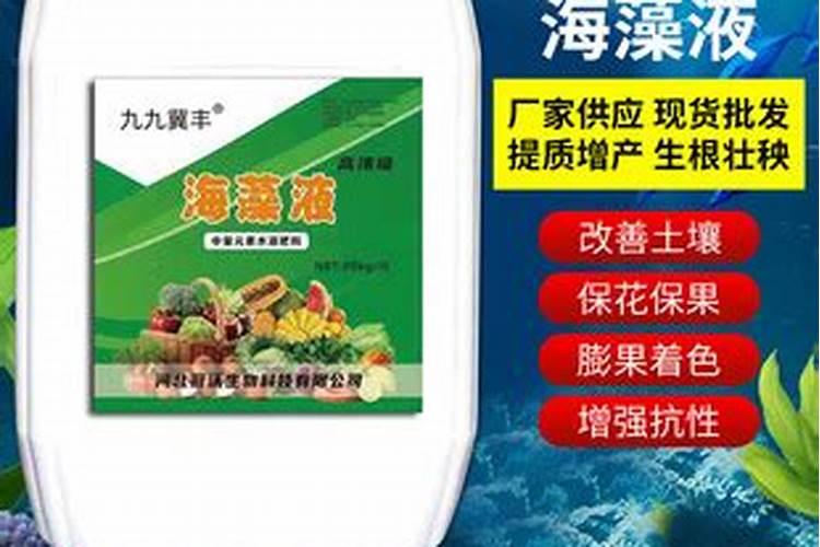 玉米脱肥症状图片