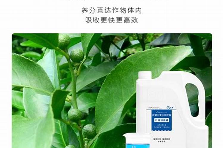 叶面肥十大品牌排行榜