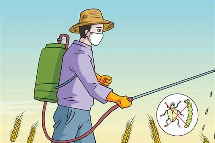 为什么要给柑橘套袋？柑橘用什么肥料好？