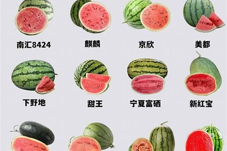 芸豆种植时间和方法