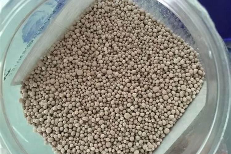 果树冬季怎么施肥