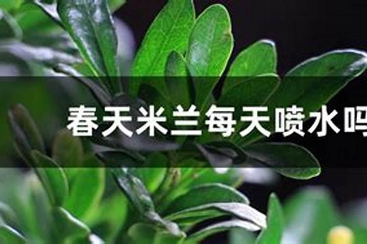 火龙果酵素能不能浇花？