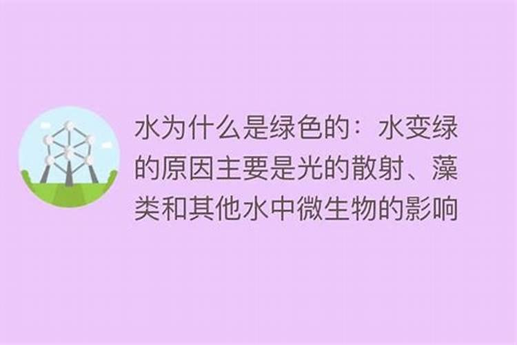 甜瓜施肥方法和施肥要求是什么