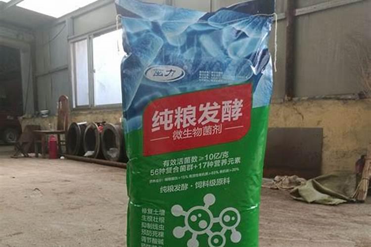 文竹需要什么肥料 家里的文竹养了10来年了