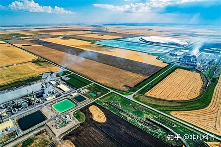 种菜用什么肥料最好